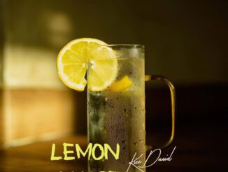 Kizz Daniel - Lemon Chase (EP)