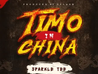 Sparkle Tee - Timo In China