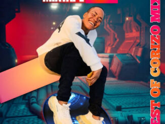 DJ Afronaija - Best of Corizo Mixtape 2025